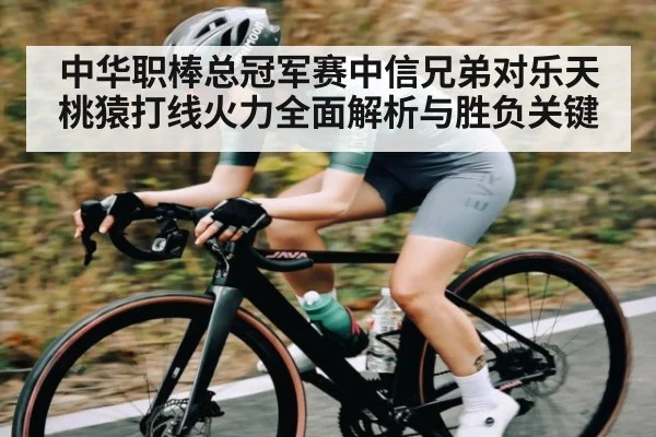 中华职棒总冠军赛中信兄弟对乐天桃猿打线火力全面解析与胜负关键