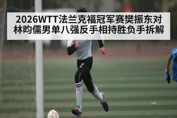 2026WTT法兰克福冠军赛樊振东对林昀儒男单八强反手相持胜负手拆解